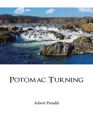 cover image of Potomac Turning